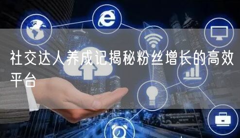 社交达人养成记揭秘粉丝增长的高效平台