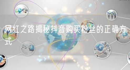 网红之路揭秘抖音购买粉丝的正确方式