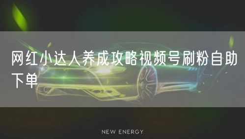 网红小达人养成攻略视频号刷粉自助下单