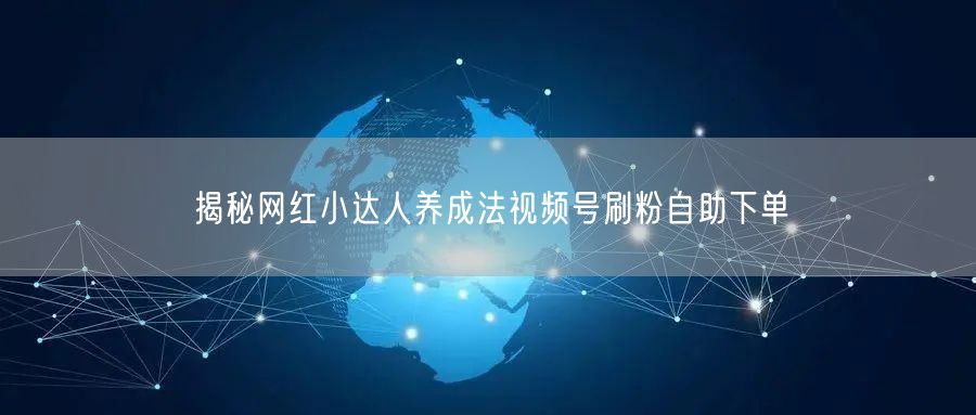 揭秘网红小达人养成法视频号刷粉自助下单