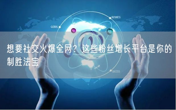 想要社交火爆全网？这些粉丝增长平台是你的制胜法宝