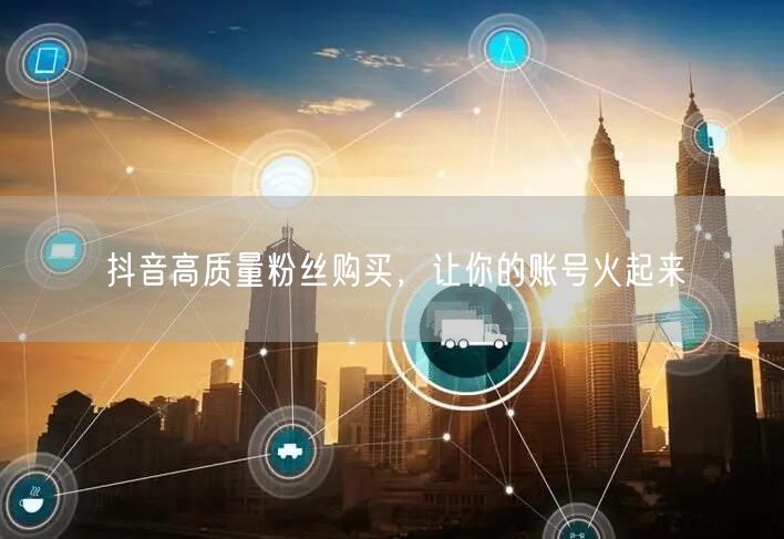 抖音高质量粉丝购买，让你的账号火起来