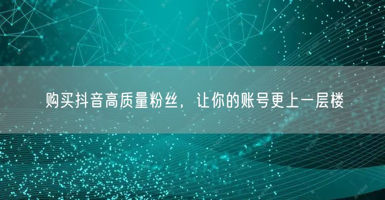 购买抖音高质量粉丝，让你的账号更上一层楼