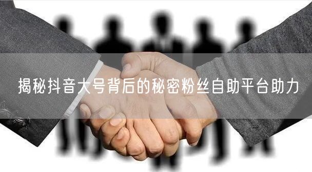 揭秘抖音大号背后的秘密粉丝自助平台助力