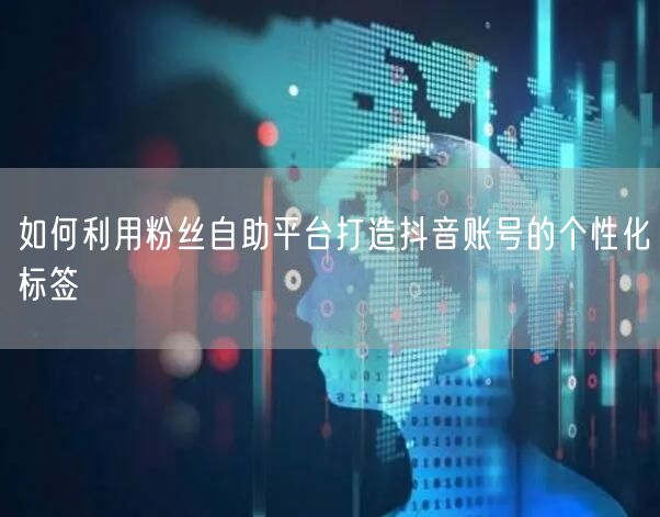 如何利用粉丝自助平台打造抖音账号的个性化标签