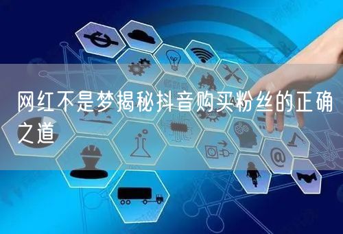网红不是梦揭秘抖音购买粉丝的正确之道